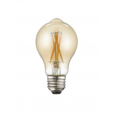 960424X10 Filament LED Bulbs