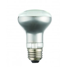 960711X10 Filament LED Bulbs
