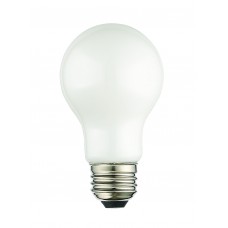 960813X10 Filament LED Bulbs